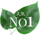 人気No1